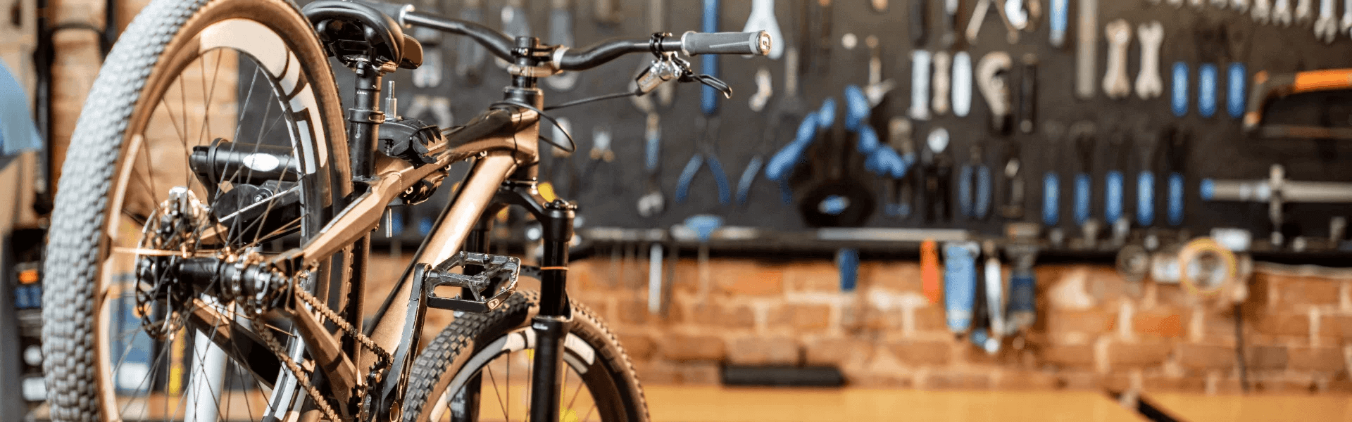 Black mountain best sale bike store